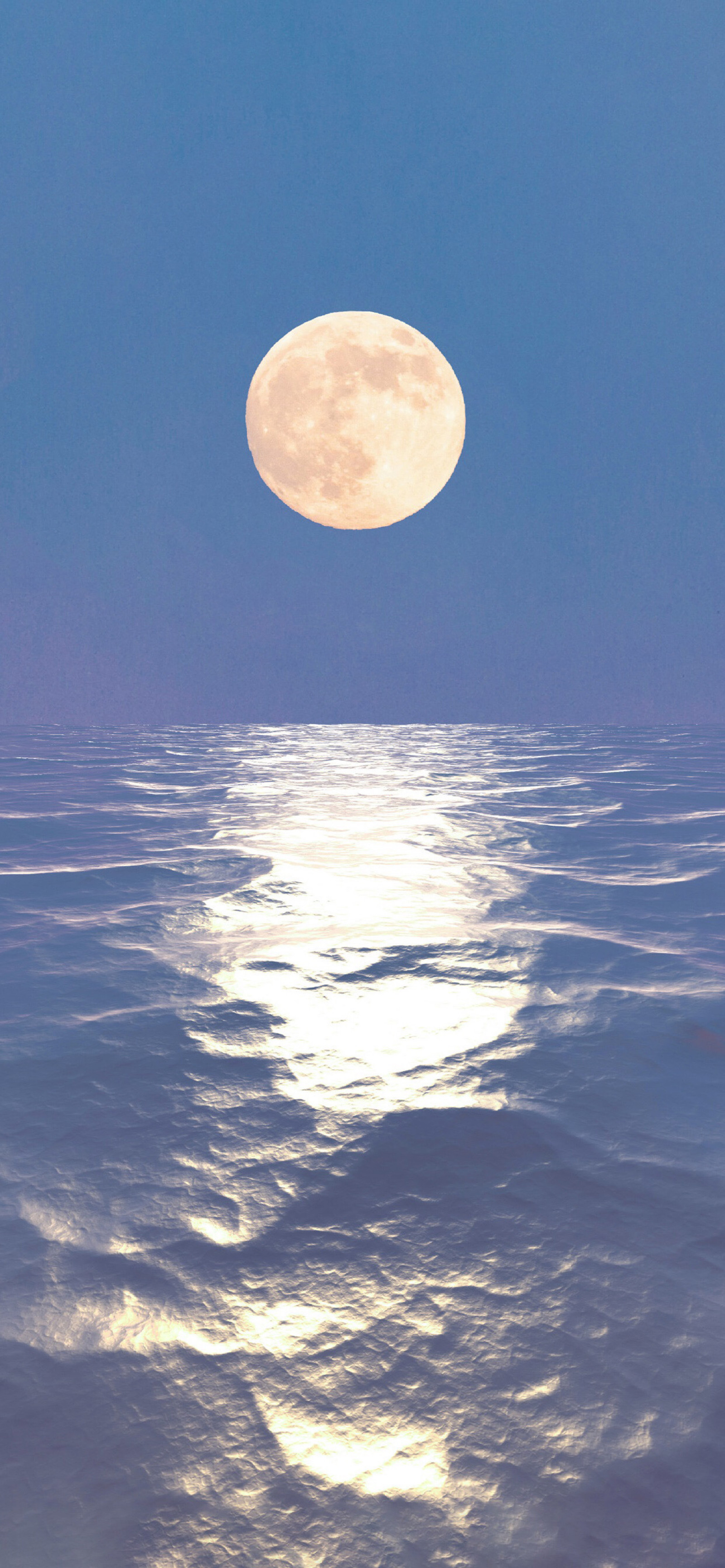 海上升明月