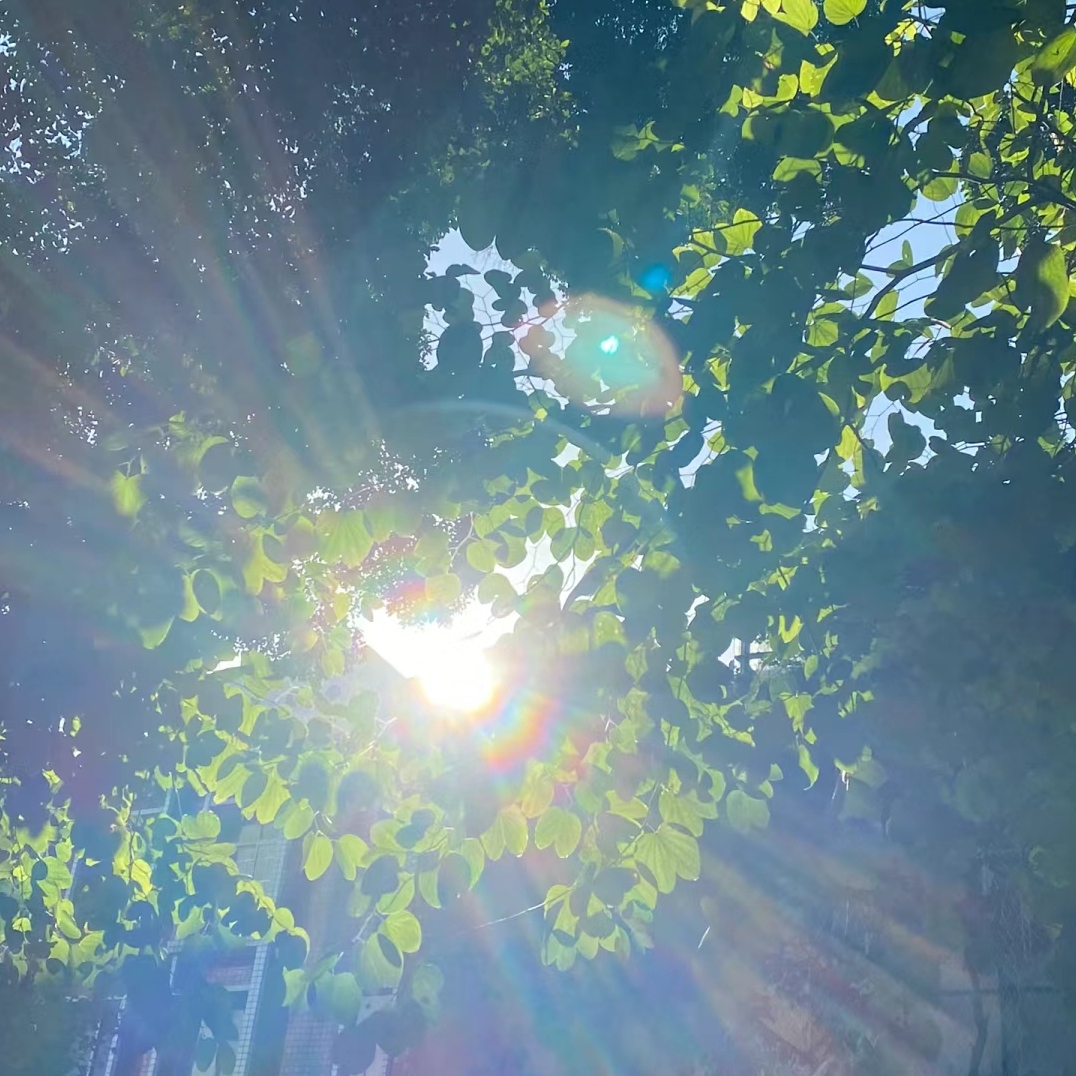 Ӱɫͼ